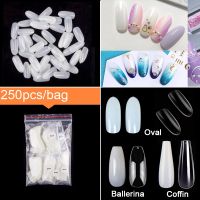 250 Pieces Same Size Oval Shape False Nail Tips For Drawing Nail Art Tips Design Prastic Acrylic Full Nails Size 0 1 2 3 4 5 6