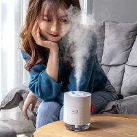 「RS Store」Pretty Indoor Bedroom Humidifier Chargeable USB Night Light Fantastic Large Fog Humidifier