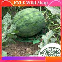 KYLE Wild Shop 2pcs 5pcs Watermelon Stand basket Frame Holder Plant Tray Fruit Support waterproof Rack for Vegetables Gardening Garden Tools t1