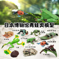 ? Sile Toy Store~ Japanese Colorata Authentic Frog Museum Toad Amphibious Crawling Collection