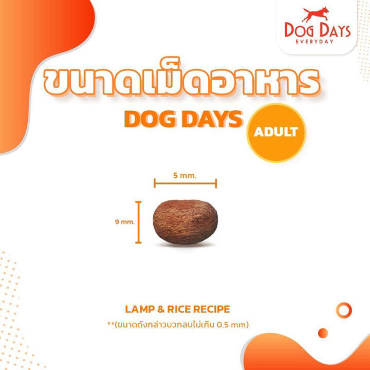 ด็อกเดย์-12kg-dog-day-exp-08-2023-สำหรับสุนัขทุกสายพันธุ์-สูตรเนื้อแกะและข้าว-dogday