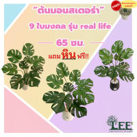 ต้นมอนสเตอร่า สูง 65 ซม. รุ่น " Real Life " 9 ใบ มงคล  พร้อมกระถาง ต้นไม้ปลอม ต้นไม้ประดิษฐ์ Leeartplants