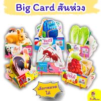 Big card สันห่วง 6 หมวด ภาพเหมือนจริง บัตรคำมีห่วงเก็บง่าย ไดคัทสวยงาม รุ่นนี้ใบใหญ่ พร้อมเกร็ดน่ารู้ Flash Card mis