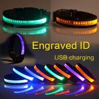 ป้ายที่ชาร์จ Usb เรืองแสง LED สัตว์เลี้ยงปลอกคอสุนัขบัตรประชาชนแบบมีเอกลักษณ์,ป้าย ID สุนัขแมวอุปกรณ์เสริมไนลอนสั่งทำได้