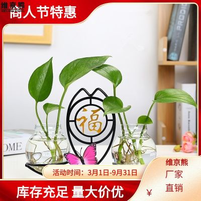 green radish hropoc pl glass trrent vase flower arrangement water culture flower iron utels desktop livg room decoratn --ZMBJ23811☈●✜