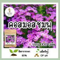 เมล็ดพันธุ์ คอสมอสสีชมพู 300เมล็ด