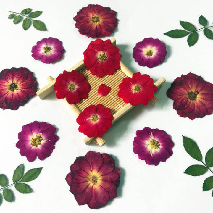 12pcs-lot-real-dried-rose-flower-diy-home-ornament-uv-resin-mold-jewelry-making