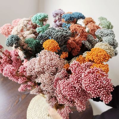 【cw】60120g Natural Millet Flower Real Eternal Rice Flower Bouquet DIY Candle Resin Accessories For Living Room Home Wedding Decor