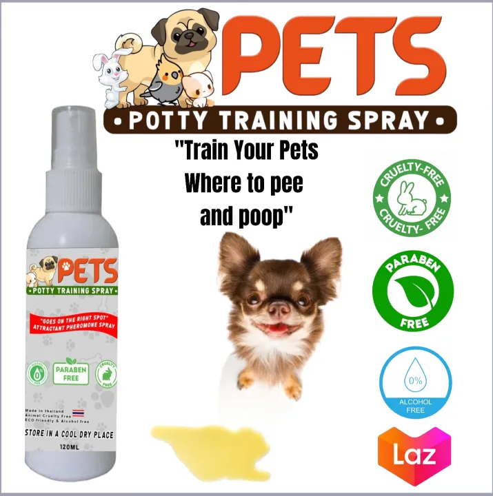 Why Are Dogs Attracted To Cat Poop