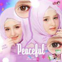 ?*มีค่าสายตา*?  Pretty Doll Peaceful Brown บิ๊กอายสายตาปกติ powerlenses 50 125 150 325 375 คอนแทคเลนส์ ลายฮิต Tiktok แถมตลับฟรี!! รหัสสินค้า 045