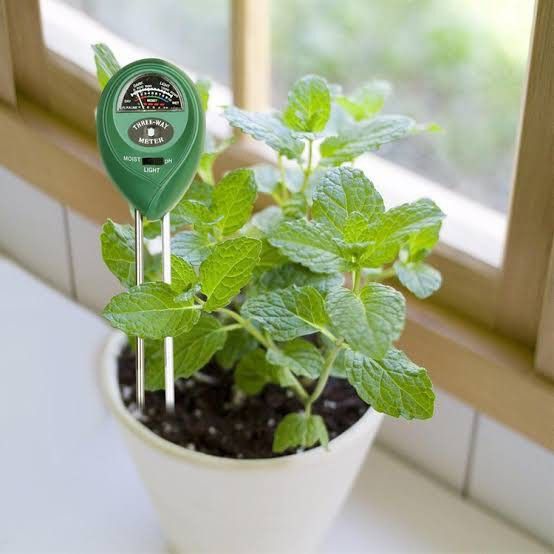 เครื่องวัดค่าดิน-3-in-1-soil-meter-วัดค่าแสง-ความชื้น-ค่า-ph-ในดิน