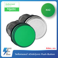 Schneider XA2EVB1LC  ไพล็อทแลมป์ 22 มม. สวิตช์ปุ่มกด Push-Button