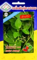 ผักปลัง Ceylon Spinach เมล็ดพันธุ์ตราสามเอ AAA