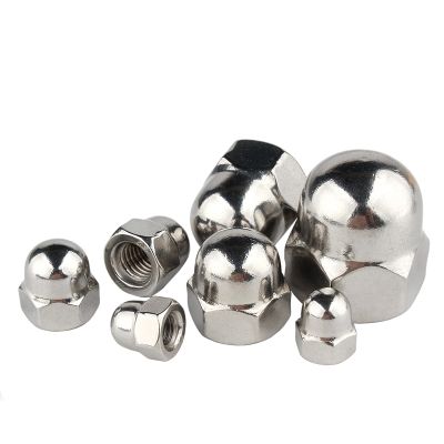 DIN1587 A2 Acorn Nut M3 M4 M5 M6 M8 M10 304 Stainless Steel Decorative Cap Blind Nuts Caps Covers Hex Dome Acorn Nut Nuts