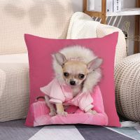 (All in stock) Fun Pink Dog Chihuahua Pillow Case Kawai Pet Pillow Case Cute Fashion Cushion Home Decoration Sofa Chair Decoration (Contact Information) The seller to support free customization. The pillow is designed with double-sided printing.