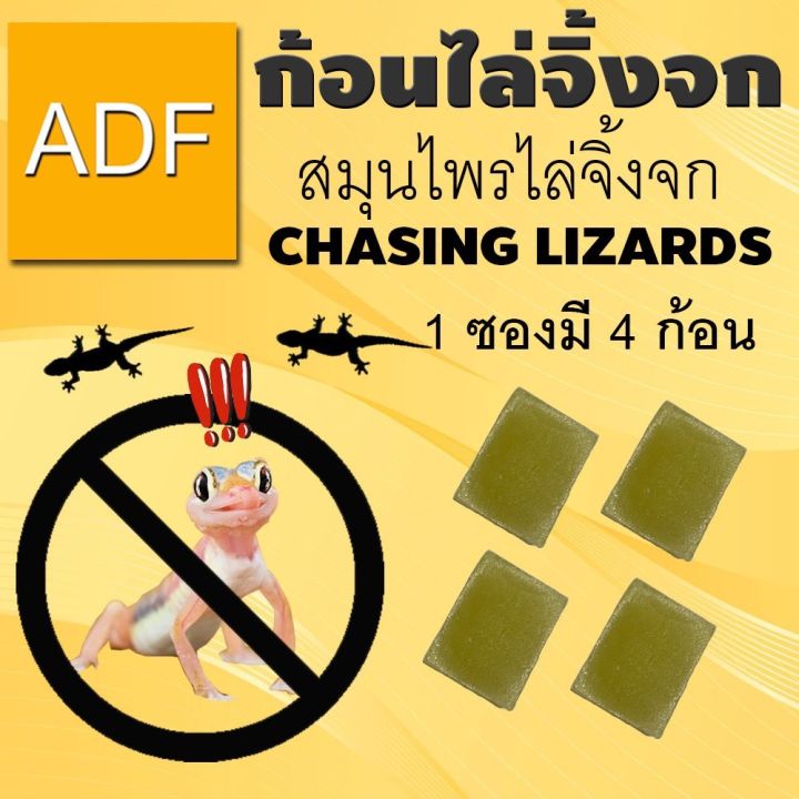 ก้อนไล่จิ้งจกสมุนไพรไล่จิ้งจก-chasing-lizards