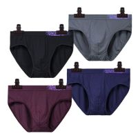 3 Pcs Big Size Boy Undershorts Men Briefs Underwear Sexy Panties Homme Underpants Undies Knickers Fiber Flexible XL 2XL 3XL 4XL