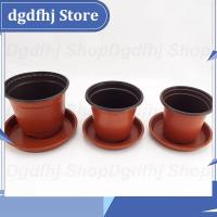 Dgdfhj Shop 20pcs Mini Plastic Round Flower Pot Tray Plant Growing Holder Nursery Planter Grow Box Flowerpot for Succulent Tools