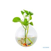 Creative Wall Hanging Glass Planter Hydroponic Plant Terrarium Container Flower Vase Pot Home Office Living Room Decoration