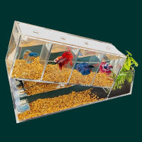 แฟชั่น Betta Fish Tank อะคริลิคเดสก์ท็อปชามปลาขนาดเล็ก Multi-Cell Isolation Area Self-Circulating Filtration Aquarium Products