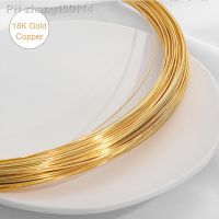 18K Gold Plated 5Meters 0.4 0.5 0.6 0.7 0.8 1.0mm Bracelets Wire Tiger Tail Beading Wire For Jewelry Making Finding diy Earrings