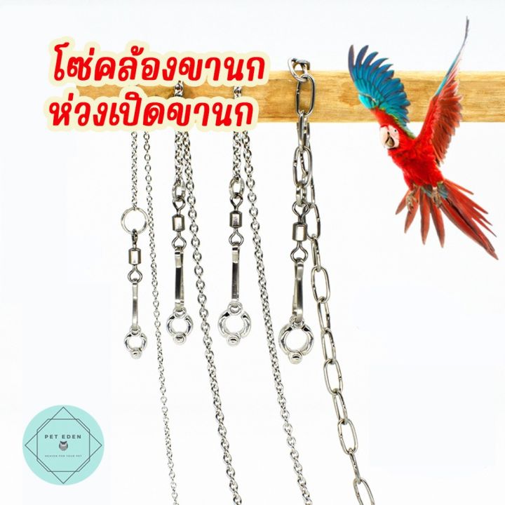 โซ่คล้องขานก-ห่วงเปิดขานก-สร้อยข้อเท้าโซ่นก-อุปกรณ์นก-bird