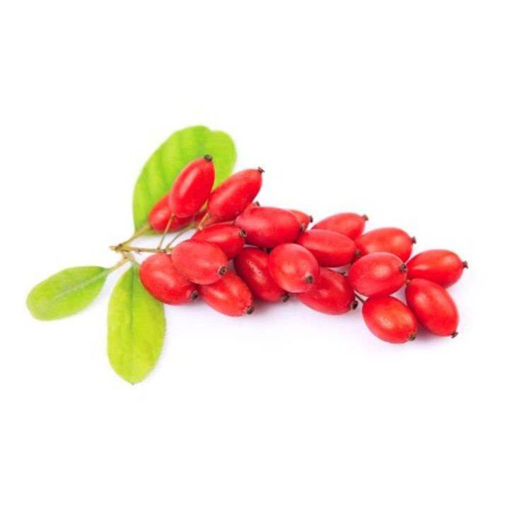 เก๋ากี้-โกจิเบอรี่-goji-berry-โกจิเบอร์รี่-ขนาด-150-กรัม-ถุงซิปล็อค