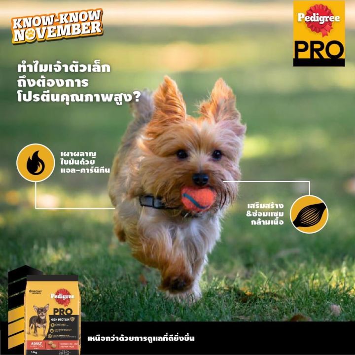 pedigree-เพดดิกรี-โปร-สูตร-ไฮ-โปรตีน-อาหารสุนัขสำหรับสุนัขโตพันธุ์ทอยและเล็ก-1-3-kg