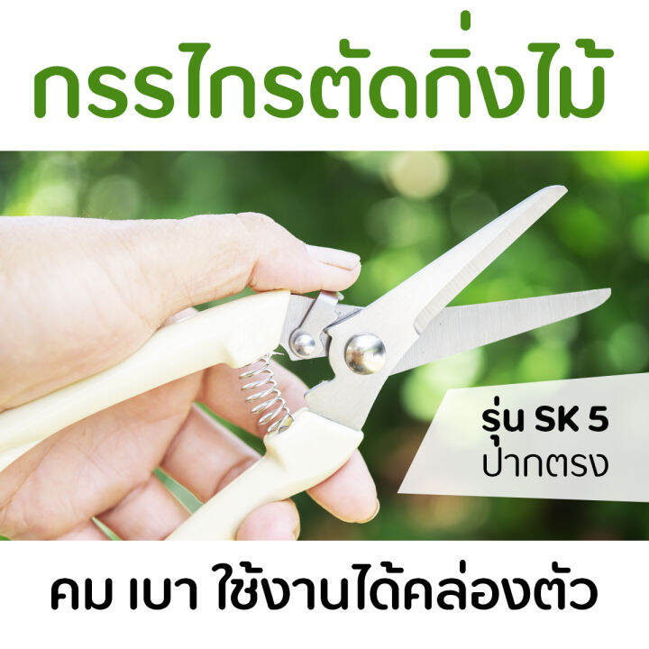 กรรไกรตัดกิ่งไม้-รุ่น-sk5-ปากตรง-คม-เบา-ใช้งานได้คล่องตัว-ราคาถูก