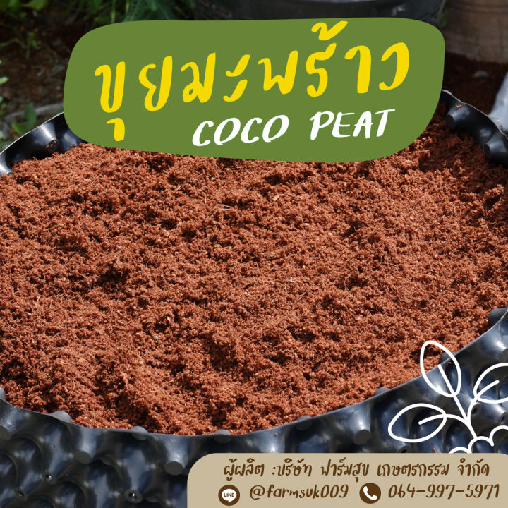 ขุยมะพร้าว-coco-peat-ล้างแทนนินแล้ว-บรรจุ-5-ลิตร