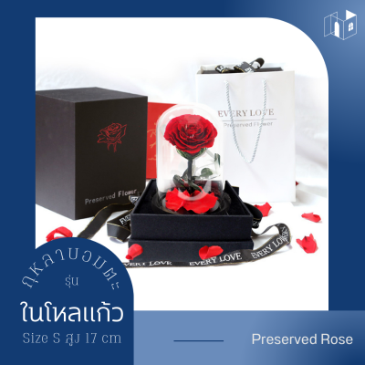 กุหลาบในโหลแก้ว Size S สูง 17 cm Preserved Rose ดอกกุหลาบปลอม ของขวัญรับปริญญา ดอกไม้ปลอมสวยๆ ดอกไม้ปลอม