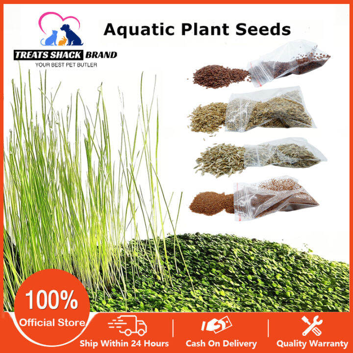 5g Aquatic Plants Seeds Easy Growing Aquarium Plant Seed Water Grass