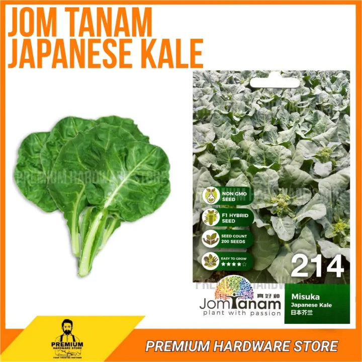 JOM TANAM BY CROP POWER MISUKA JAPANESE KALE SEED / BENIH KAILAN JAPAN ...