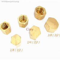 ┋☞ 1PC 1/8 quot; 1/4 quot; 3/8 quot; 1/2 quot; 3/4 quot;BSP Hexagonal Female Thread Brass Pipe Cap Hex Head End Cap Plug Fitting Coupler Connector Adapter