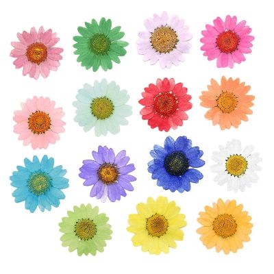 [AYIQ Flower Shop] ดอกไม้แห้งเดซี่อัดแน่น120ชิ้นสำหรับการทำเครื่องประดับสร้อยคอจี้เรซิ่นอีพ็อกซี่ทำเครื่องประดับ DIY งานฝีมือ