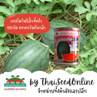 ADV กป 40g แตงโมลูกผสม กินรีเอ็กซ์ตร้า ตราตะวันต้นกล้า กินรีเอ็กตร้า