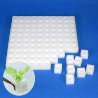 【hot】►﹊  100pcs/sheet Hydroponic plant Sponge Garden Cultivation Soilless Culture Planting tools Vegetables Pots trays