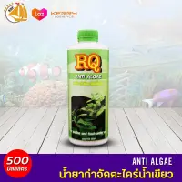 RQ Anti Algae อาร์คิวกำจัดตะไคร่น้ำเขียว 500ml