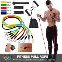 11pcs /Set Pull Rope Fitness Exercises Resistance Bands Crossfit Rubber Bands Gym Fitness Equipment Portable Elastic Bands Exercise Bands