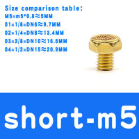 ท่อท่อไอเสียทองเหลืองนิวเมติก Bsl M5 1/8 "1/4" 3/8 "1/2" ตัวเชื่อมต่อแบบซีลตัวกรองสัญญาณรบกวนทองแดง