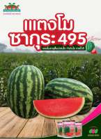 แตงโมซากุระ495  40 กรัม ตราตะวันต้นกล้า