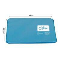 ✨ฤดูร้อนเย็นช่วยนอนหลับช่วยเหลือ Pad Mat Muscle โล่งอก Cooling Gel หมอน Ice Pad
