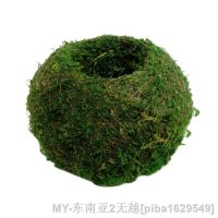 【hot】♞ↂ✣ Pot Fleshy Flowerpot Dyeing Furnishing Landscape Gardening Material Decoration