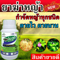 **สูตรเข้มข้น** ฆ่าหญ้าตายไว ขนาด 100 กรัม ฆ่าหญ้าแรงๆ ใช้ได้ 4-5 ไร่ ฆ่าหญ้าใบแคบ หญ้าในนาข้าว #ฆ่าหญ้าลิเก #ฆ่าหญ้าแดง