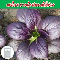 กวางตุ้งฮ่องเต้สีม่วง เมล็ดพันธุ์ 150+ เมล็ด (Pak Choi Ruby / Red Pak Choi)