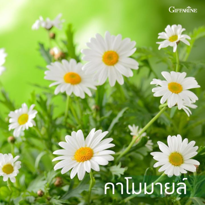 ส่งฟรี-ยาสีฟัน-กิฟฟารีน-ไบโอเทค-ยาสีฟัน-ผสม-สมุนไพร-ดูแลเหงือกและฟัน-ฟันขาว-giffarine-bio-tech-ตรา-กิฟฟารีน-ผลิตภัณฑ์ดูแลช่องปาก-พร้อมส่ง