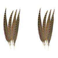 Touch of Nature Ringneck Pheasant Feathers 8Pcs, Natural