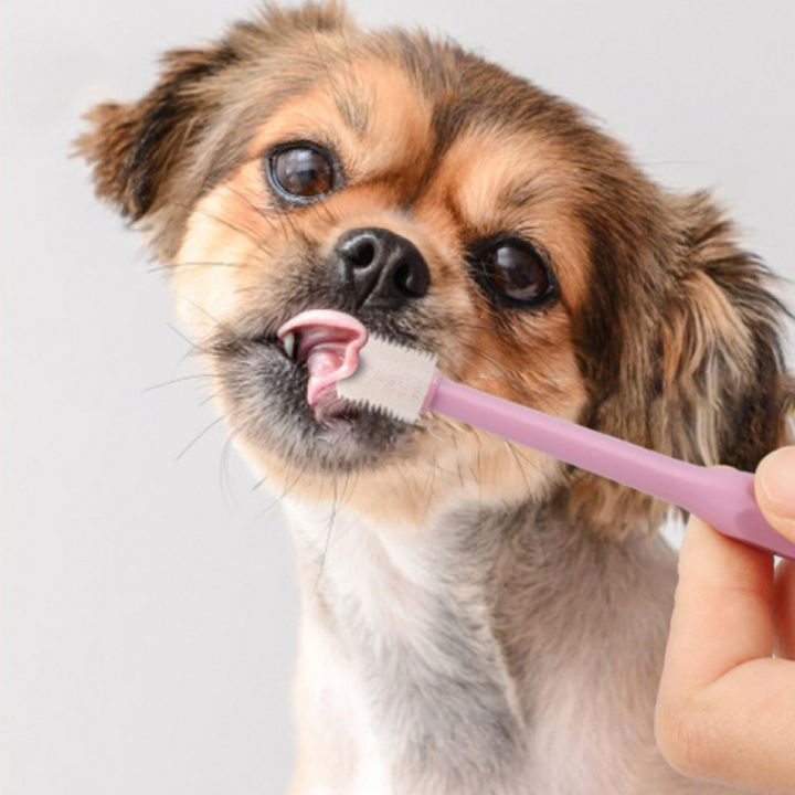 ruyifang-วัสดุรักษาความสะอาดสัตว์เลี้ยงแมว-sikat-gigi-anjing-360องศาปากและฟันอุปกรณ์ซักล้างชุดแปรงสีฟันของเล่นสปินเนอร์