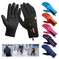 Windproof Winter Warm Gloves Men Ski Gloves Snowboard Gloves Motorcycle Riding All Season Touch Screen Snow Motor Bike Glove