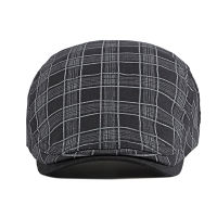 Fashion Fine Stripe Lattice Berets Hat For Women Men Spring Summer Plaid Visors Red Green Blue Duckbill Herringbone Flat Cap